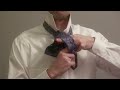 How to Tie a Tie (Mirrored / Slowly) - Full Windsor Knot