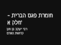 רבי יעקב בן חנן שליטא - חומרת פגם הברית חלק א