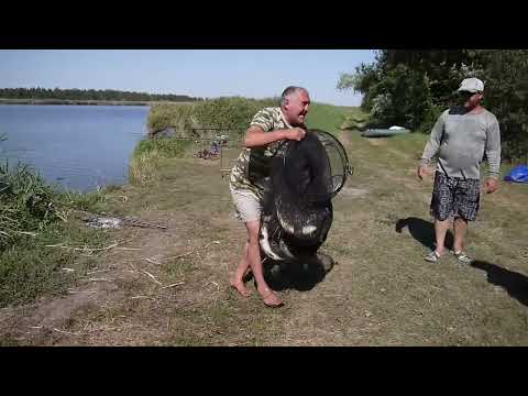ловля карпа и амура в мае видео ловля карпа и амура в мае видео