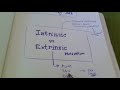 Intrinsic vs. Extrinsic Motivation