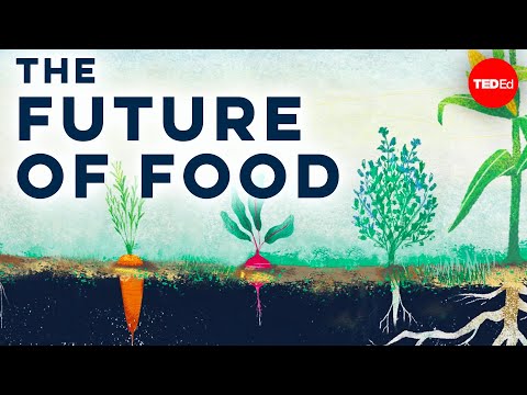 TED-Ed. Can we create the perfect farm? (Ar galime sukurti tobulą žemės ūkį?)