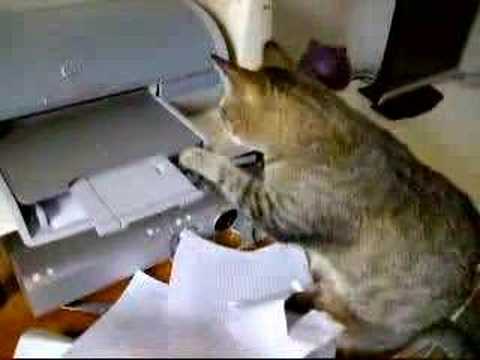 Marcus VS Hp deskjet xG-swkL0s7M