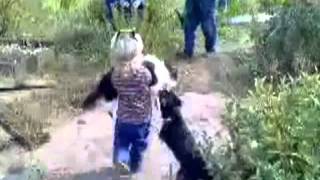 девочка спасла кота девочка спасла кота