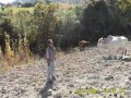 MI PUEBLO KERIDO.. san juan diuxi-orgullo de mi gente