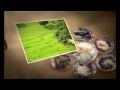 Rice People Documentary trailer
