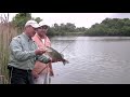 Tips on How to Catch Largemouth Bass from Shore using Casting Spoons