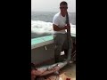 NEVER ENUFF Fishing Charters Thresher Sharking