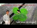 CELE MAI ASCULTATE 10 MANELE, SORIN COPILUL DE AUR, MIX 2013, ZOOM STUDIO
