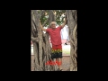 Banyon Tree's of Maui