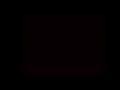 Post tenebras lux - Trailer (HD)