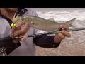 Beach fishing with lures