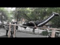 Evolution of Exercise presents The World's Strongest Athletes (pt 2)