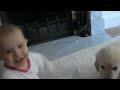 Baby and Puppy meet for the first time!