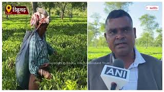 असम भूमि आवंटन बिल से चाय बागानों में काम करने वालों में खुशी की लहर