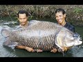 World's Largest Fish!!!