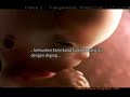 Kejadian manusia.flv