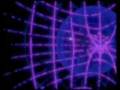 Consciousness Drives The Universe