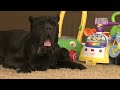 Finals Week Cuteness | Too Cute!