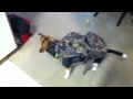 Dog wears a backpack