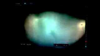 Atucha II Prueba su Reactor Nuclear