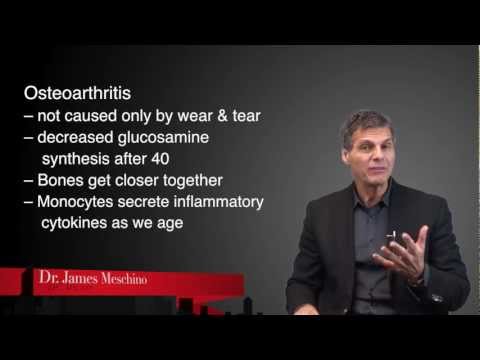 Nutrition Research Update: Osteoarthritis