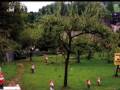 miniature