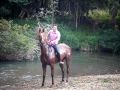 swimming with horses :)