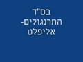 השיר אליפלט של התרנגולים