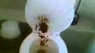 Говно,прикол,смешно,угар!.3gp