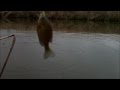 冬のブルーギル釣り