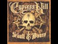 Cypress Hill Skull & Bones レコード Amazon.com: Skull & Bones: CDs & Vinyl