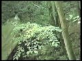 Hobak's Cave, Salt Fork State Park, August 1986