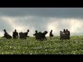 Des agriculteurs cultivent un champ