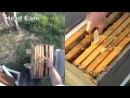 FatBeeMan Hive Inspection and Splitting