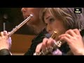 Beethoven Symphony No 9 D minor Bernard Haitink Chamber Orchestra of Europe