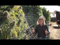 Go Organics! with Jorge Cervantes