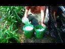 How to Wash Your Car Properly