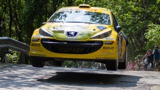 49° Rally Valli Ossolane 2013 - Jumps & Show [HD]