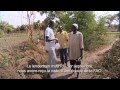 Des agriculteurs inspectant leurs cultures