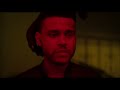 VIDEO, LETRA Y TRADUCCION VIDEO, LETRA Y TRADUCCION