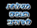 משלחת הצופים לארהב