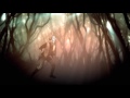 Devildriver - Pray For Villians