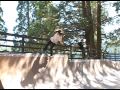 Blog Cam #25 - Element Skate Camp with Vanessa Torres & Lacey Baker
