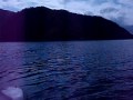 Halibut charter out of Whittier Alaska, Alaska gold runner.