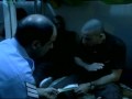 זינזאנה-לא חייב