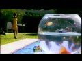 בני בשן - מגיע לי יותר