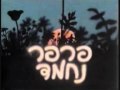 פרפר נחמד