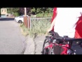 Specialized's electric bike venture