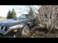 Derelict Classic Muscle Cars