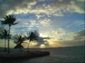 Nickel Creek- Hanging by a thread
